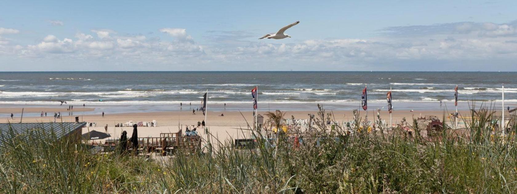 Beach&Dunes Apartment Зандфорт Экстерьер фото